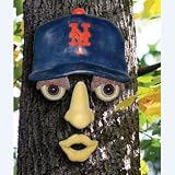 New York Mets MLB Forest Face (14"x7")
