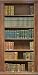 Bookcase Wall Mural