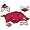 Arkansas Razorbacks