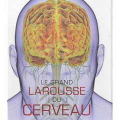 Le grand Larousse du cerveau