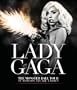 The Monster Ball Tour At Madison Square Garden