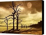 Surreal World Canvas Print / Canvas Art   Artist Iris Greenwell