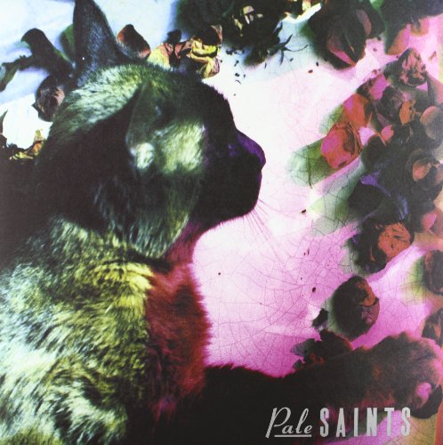 Pale Saints - Sight Of You Lyrics - Zortam Music