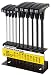 Klein Tool 10-Piece Standard T-Handle Hex Key Set