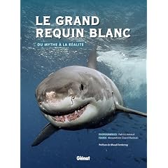 Le grand requin blanc : Du mythe � la r�alit�