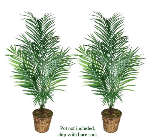 TWO 6' Artificial Areca Palm Trees