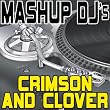 Crimson And Clover (Original Radio Mix) [Re-Mix Tool]