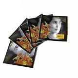 Aung San Suu Kyi Stickers