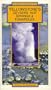 Yellowstone's Geysers, Hot Springs and Fumaroles (Field Guide)