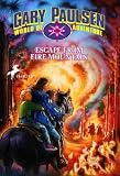 [ Escape from Fire Mountain Paulsen, Gary ( Author ) ] { Paperback } 1995