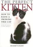 Perfect Kitten