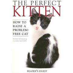 Perfect Kitten
