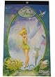 Disney Fairies Stickerland (booklet of 270+ mini stickers)