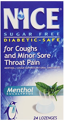 NICE Menthol Eucalyptus, 24-Count  Boxes (Pack of 6)