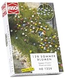H0 BU SUMMER FLOWERS