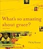 What's So Amazing About Grace? Visual Edition