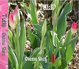 TULIP