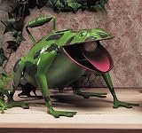 Frog Froggie Froggy Lover Creature Watering Can Art