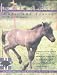 Icelandic Horse and Travel Volume 8, Issue 1, Spring 2001 Issue