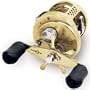 Shimano Calcutta TE 200GT Reel