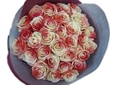 �g���̃o���EJAPAN�@30�{�̉ԑ�