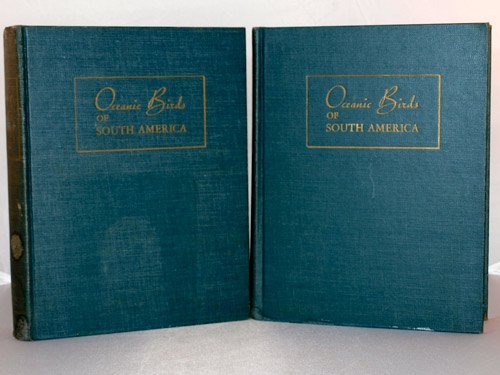 oceanic birds of south america a study of species of the related coasts and seas including the american quadrant