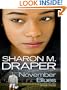 November Blues (Thorndike Literacy Bridge Young Adult)