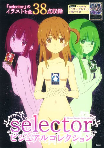 selector ビジュアルコレクション (メガミマガジンスペシャルセレクション)
