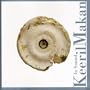 Keeril Makan: In Sound