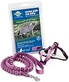 Come With Me Kitty Harness and Bungee Leash, Medium, Dusty Rose