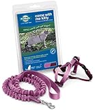 Come With Me Kitty Harness and Bungee Leash, Kitten/Small, Dusty Rose