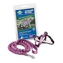 Come With Me Kitty Harness and Bungee Leash, Medium, Dusty Rose