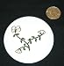 3 button / pin printed with plant, california, vegetation, blossom, flora, flower