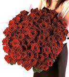 赤バラ花束100本【送料無料】