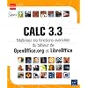 Calc 3.3 - Ma�trisez les fonctions avanc�es du tableur de OpenOffice.org et LibreOffice