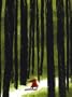 Le petit chaperon rouge