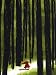 Le petit chaperon rouge (Album)
