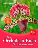 Produkt-Bild: Das Orchideen-Buch f&uuml;r Fortgeschrittene