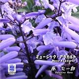 バーベキューパーティー
