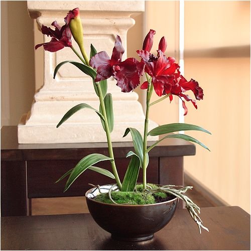 Birthmonth flower