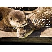 カワウソ