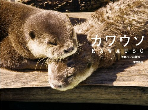 カワウソ