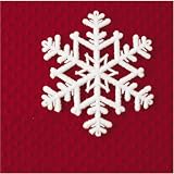 10 SNOWFLAKE ORNAMENT