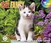 2011  Cat Fancy  Box Calendar