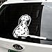 Crusar Fun Decals/Sticker for Car - Dalmatian Wagging its Tail