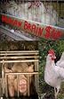 Human Brain Soup