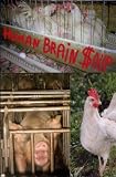 Human Brain Soup
