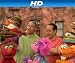 Elmo and Zoe's Hat Contest [HD]