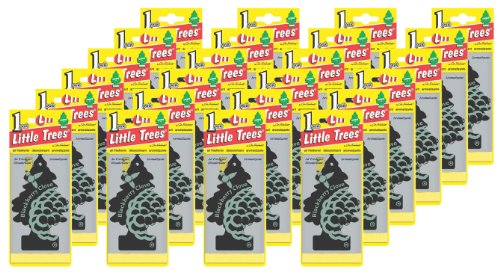 Best Price Little Trees Hanging Car and Home Air Freshener, Blackberry Clove (Pack of 24)