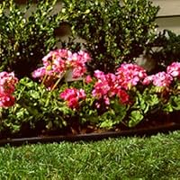 Suncast Corp 60' Blk Lwn Edging Pro60 Edging